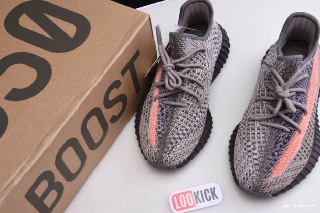 adidas Ash 350 GW0089 Stone Yeezy Boost V2 0708